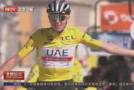 世俱杯官网-尼斯客场一举夺冠，功成名就