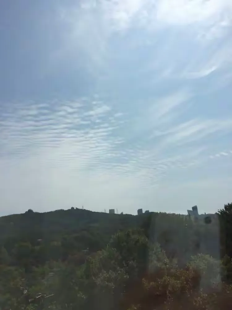 青岛黄海险胜对手,稳固中游位置 青岛黄海险胜对手,稳固中游位置