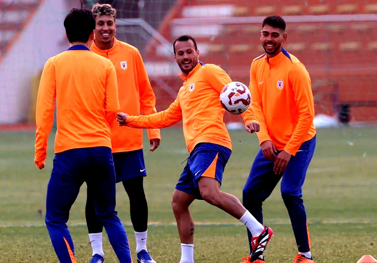 包含欧预赛比赛团队合作展现，球员拼尽全力备战决赛的词条