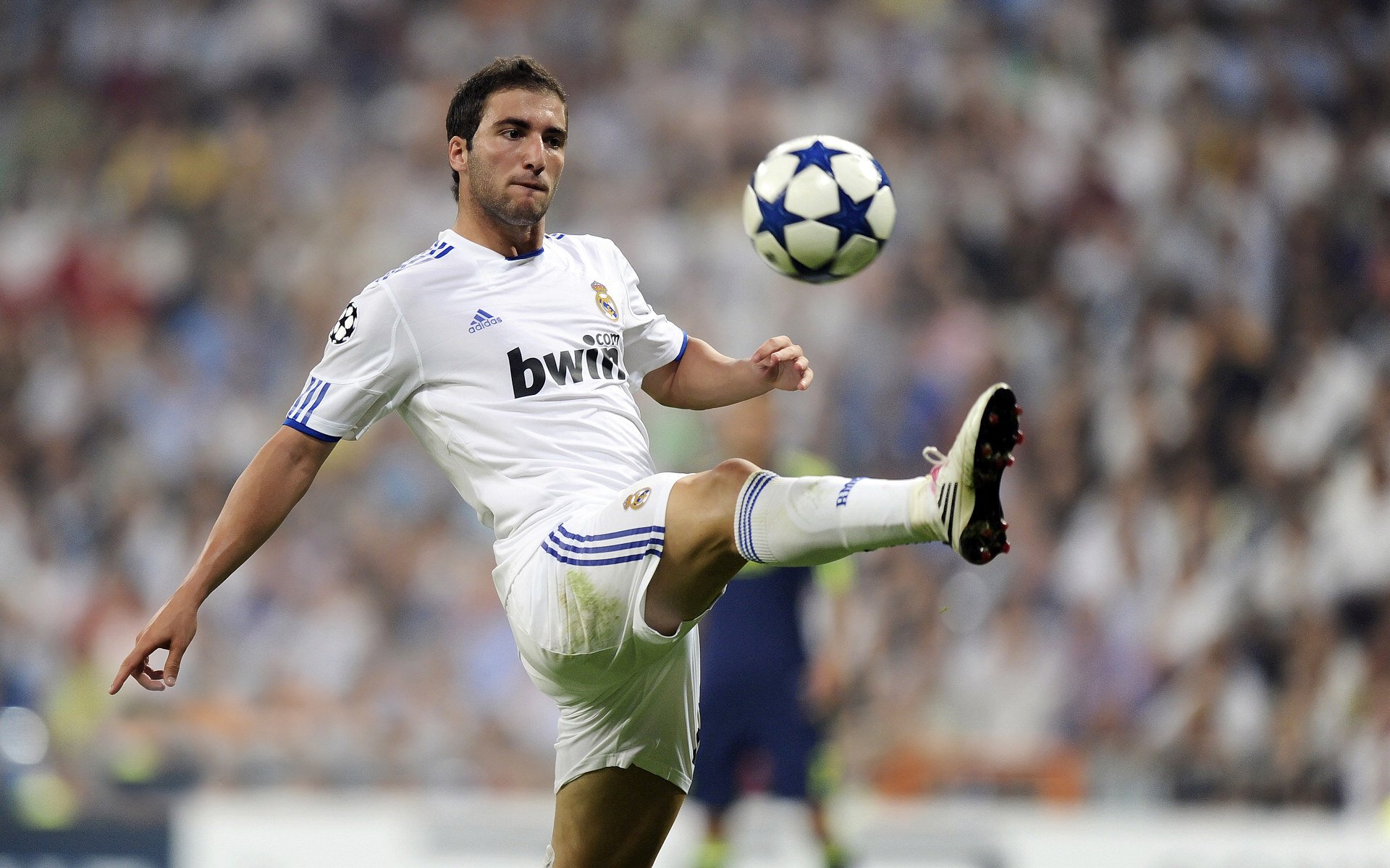 冰封与熔岩,折戟之夜的擎旗之人